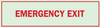 Brady Bradyglo B-347 Polyester / Polystyrene Rectangle Green Emergency & Fire Exit Sign - 14 in Width x 5 in Height - Glow in the Dark - TEXT: EMERGENCY EXIT - 80274 - 754476-80274 - R. S. Hughes Company, Inc.