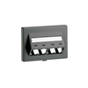 Keystone Faceplates, Frames - CFFPEBSL4BL-ND - DigiKey