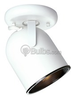 One-Light Fixture With Multi-Directional Head - P6144-30 - bulbs.com