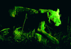 Broadband Infrared Polarizer -- ProFLux® BIR04A - Image