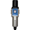 Pneumatic Filter Regulator - Radwell International