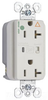Surge Suppression Receptacle - IG8300-LASP - Legrand - Pass & Seymour