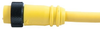 Mini-Link Plug Assembly, PVC, Female, 4 pole, 6', 16 AWG -- 104A0060AP