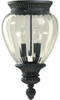 3707-2-93 Exterior -Ceiling Mount - 701310 - Capital Lighting, Inc.