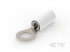 Ring Terminals - 50840-1 - TE Connectivity