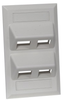 Datacommunication Face Plate - AFP14G - Hubbell Incorporated