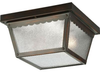 P5729-20 Exterior -Ceiling Mount - 438988 - Capital Lighting, Inc.
