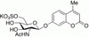 4-Methylumbelliferyl 6-Sulfo-2-acetamido-2-deoxy-β-D-.. - 28872 - Medical Isotopes, Inc.
