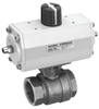 Full Port DIR-ACT® Ball Valve -- Model  1/4