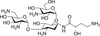 Amikacin B - 19494 - Medical Isotopes, Inc.