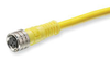 QD Cable/Cord Set - Radwell International