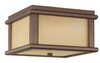 Outdoor Ceiling Light - OL3413CB - Generation Brands
