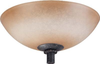 Flush Mounts-Bowl Style - 29202 - Light Center (The)