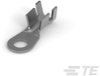 Ring Terminals - 881016-2 - TE Connectivity