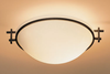 Semi-Flush Mts.-Bowl Style - 224941 - Light Center (The)