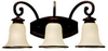 44146-814 Bathroom Fixtures-Three Lights - 754591 - Capital Lighting, Inc.
