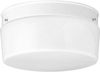 P3520-30 Flush Mounts-Bowl Style - 768452 - Capital Lighting, Inc.