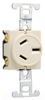 Duplex/Single Receptacle -- 6810-I - Image