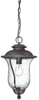 190078763 Exterior -Hanging - 399044 - Capital Lighting, Inc.