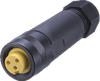 Female cordset, field attachable - V93-G - Pepperl+Fuchs SE