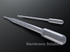 Disposable Transfer Pipette -- LBPP05N - Image