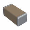 Ceramic Capacitors - 2215JA250821FCTSPU-ND - DigiKey