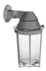 Vaporproof Incandescent Fixture with Globe and Guard -- VPOBW20G