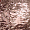 SilverCoat, 