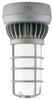 Vaporproof Incandescent Fixture with Globe and Guard - VXLED26DG - RAB Lighting