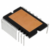 Power Drivers - Modules - PSS30S92F6-AG - 210299-PSS30S92F6-AG - Win Source Electronics