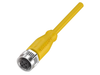 BALF Sensor Cordsets - BCC05FJ - Galco Industrial Electronics