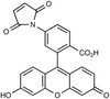 Fluorescein 6-Maleimide - 10278 - Medical Isotopes, Inc.