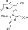 Clavulanic Acid Dimer Impurity - 22447 - Medical Isotopes, Inc.