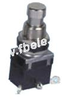 Push-Button Switch -- PBS-24-102 ON-ON - Image