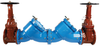 Lead Free* Double Check Valve Assemblies, Cast Iron -- LF709 - Image