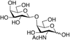 2-Acetamido-2-deoxy-4-O-(β-D-galactopyranosyl)-D-gala.. - 18965 - Medical Isotopes, Inc.