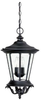 9755BK Exterior -Hanging - 732070 - Capital Lighting, Inc.