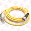 QD Cable/Cord Set - 66018311 - Radwell International