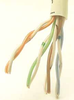 CAB-C5PLWH-1K - Cable Depot Inc.