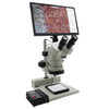 Microscope, Stereo Zoom (Trinocular) - 243-26800B-733-ND - DigiKey