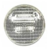 Outdoor - Swimming Pool - 300PAR56/WFL -- 23427 - Image