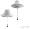 Antennas - CMS38606P-30NF - TE Connectivity