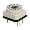 DIP Switches - 2449-RD10RA16CTT-ND - DigiKey