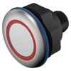 Pushbutton Switches - 1948-84-ACKS-C20-04C7-ND - DigiKey
