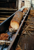 Conveyor Flight -- Redco UHMW Conveyor Flight - Image