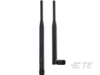 Antennas - IN24-5RD-RTNC - TE Connectivity