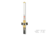 Antennas - FG24005 - TE Connectivity