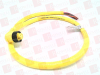 QD Cable/Cord Set - 62985213 - Radwell International