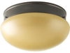 P3412-20T Flush Mounts-Bowl Style - 687480 - Capital Lighting, Inc.