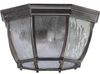 7931-2-45 Exterior -Ceiling Mount - 701151 - Capital Lighting, Inc.